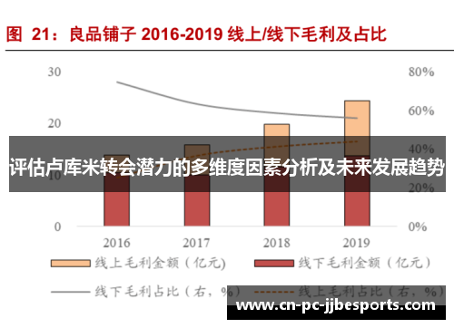评估卢库米转会潜力的多维度因素分析及未来发展趋势