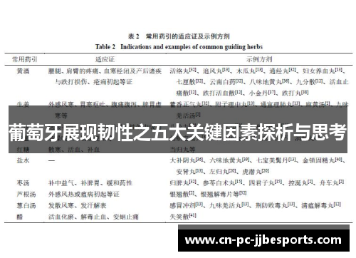 葡萄牙展现韧性之五大关键因素探析与思考